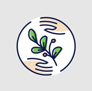 Haven Wellness Coach