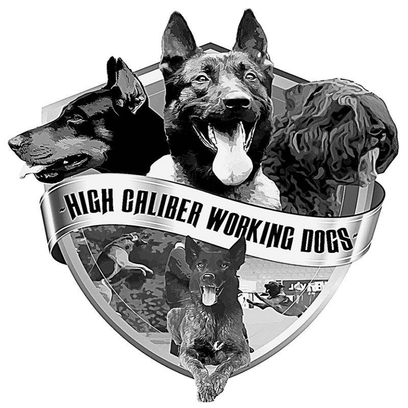 High Caliber Working Dog Training