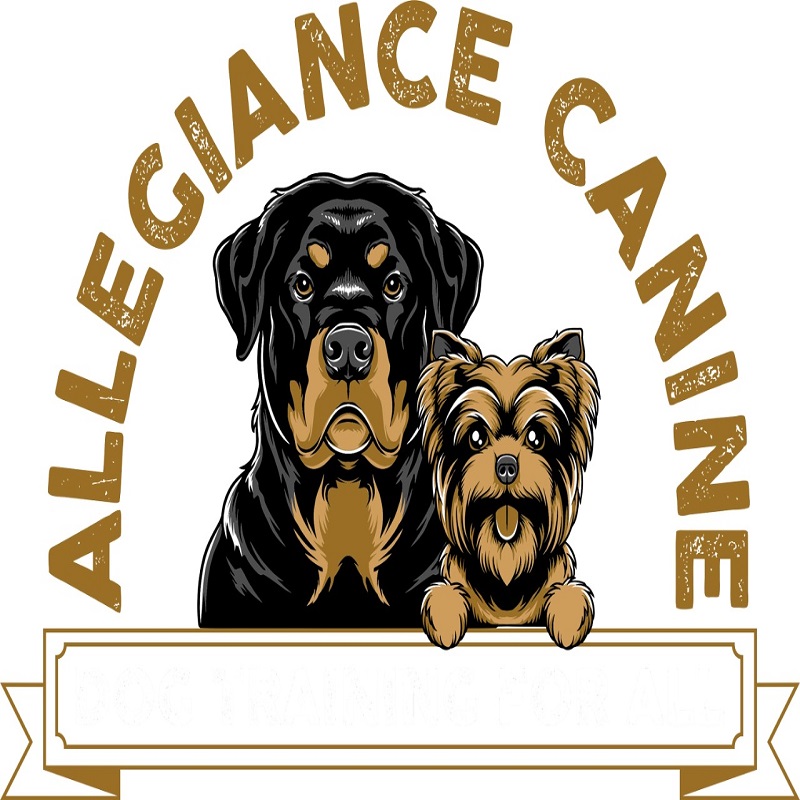 Allegiance Canine