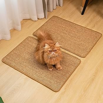 cat wall scratcher